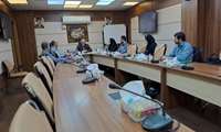 بررسی 107 پرونده در دومین کمیسیون قانونی ماده 20 در سال 1404